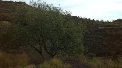 Rustic Finca in Pasada de Granadillo photo 69