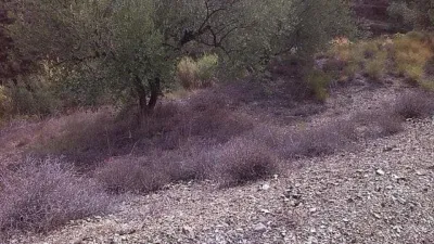 Rustic Finca in Pasada de Granadillo photo 71