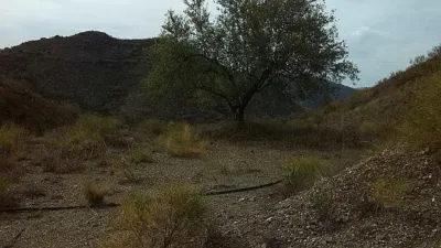 Rustic Finca in Pasada de Granadillo photo 75