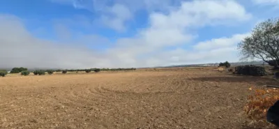 Finca rústica en venta en Villamayor de Calatrava, Villamayor de Calatrava de 75.000 €