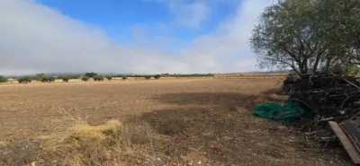 Finca rústica en venta en Villamayor de Calatrava, Villamayor de Calatrava de 75.000 €