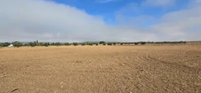 Finca rústica en venta en Villamayor de Calatrava, Villamayor de Calatrava de 75.000 €