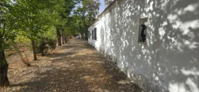 Finca rústica en venta en Villamayor de Calatrava, Villamayor de Calatrava de 75.000 €