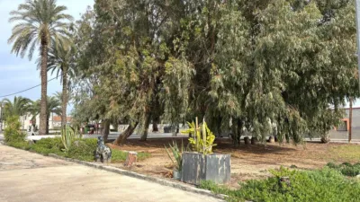 Rustic Finca in El Realengo photo 18
