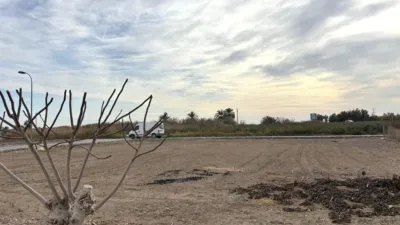Rustic Finca in El Realengo photo 8