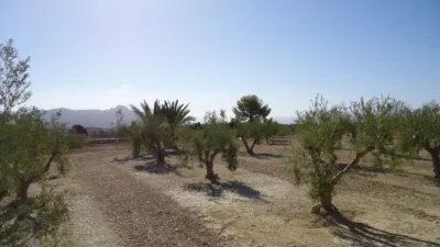 Rustic Finca in Abanilla photo 11