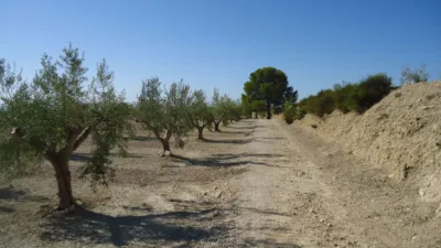 Rustic Finca in Abanilla photo 12