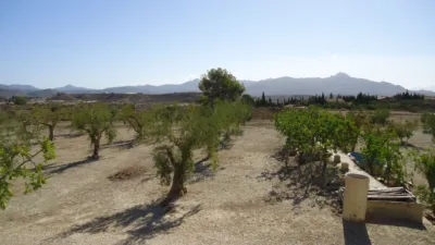 Rustic Finca in Abanilla photo 15