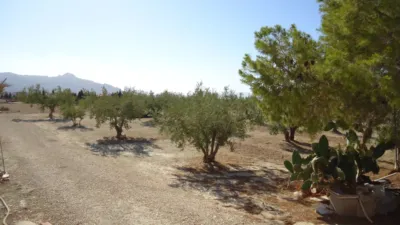 Rustic Finca in Abanilla photo 17
