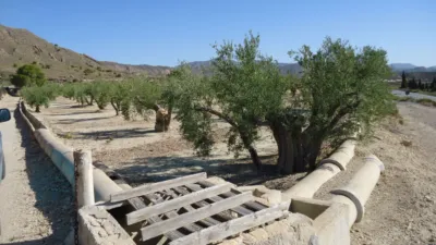 Rustic Finca in Abanilla photo 2