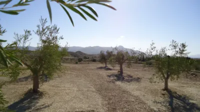 Rustic Finca in Abanilla photo 9