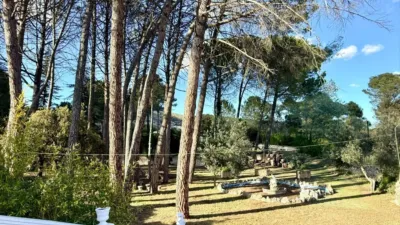 Chalet in Batoy photo 8