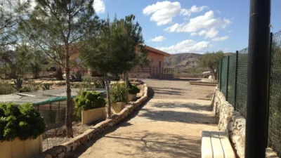 Chalet in Abanilla photo 23