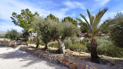 Chalet in Abanilla photo 45