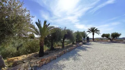 Chalet in Abanilla photo 46