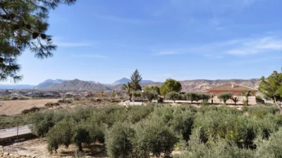 Chalet in Abanilla photo 49