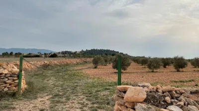 Rustic farm in Yecla photo 2