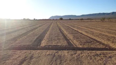 Rustic farm in Yecla photo 3