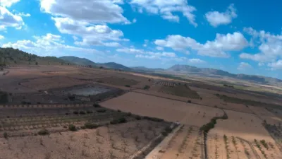 Rustic farm in Yecla photo 6