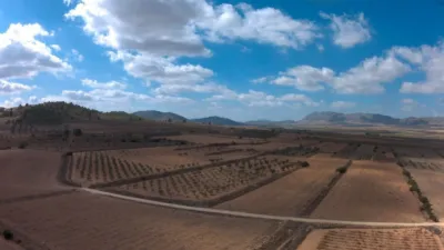 Rustic farm in Yecla photo 9