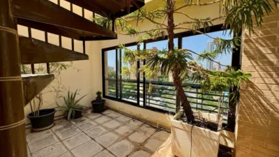 Duplex Penthouse in Platja de Ponent photo 44