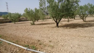 Rustic farm in Jumilla photo 10