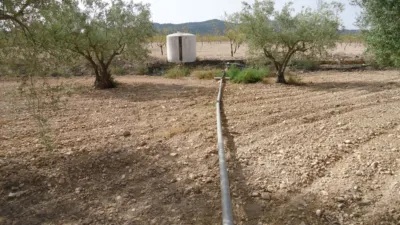 Rustic farm in Jumilla photo 11