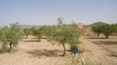 Rustic farm in Jumilla photo 13
