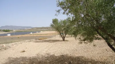 Rustic farm in Jumilla photo 16