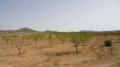 Rustic farm in Jumilla photo 19