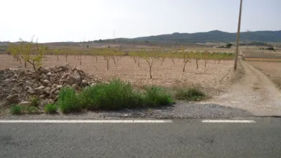 Rustic farm in Jumilla photo 4