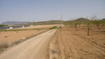 Rustic farm in Jumilla photo 6