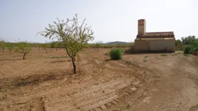 Rustic farm in Jumilla photo 7