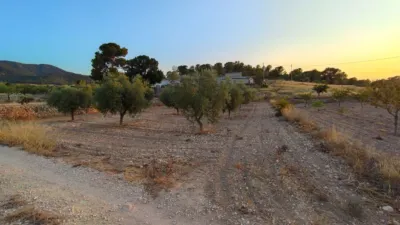 Rustic Finca in Abanilla photo 2