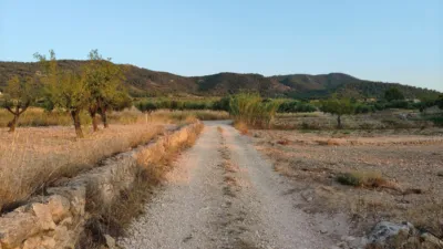 Rustic Finca in Abanilla photo 3