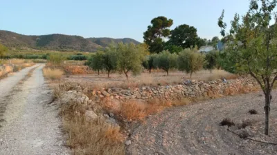 Rustic Finca in Abanilla photo 6