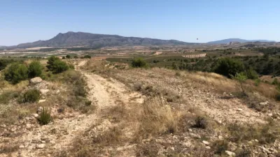 Rustic Finca in Jumilla photo 2