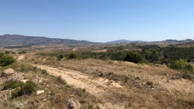 Rustic Finca in Jumilla photo 3