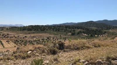 Rustic Finca in Jumilla photo 5