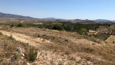 Rustic Finca in Jumilla photo 6