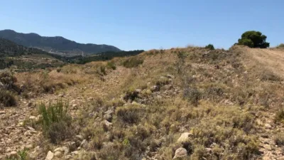 Rustic Finca in Jumilla photo 7