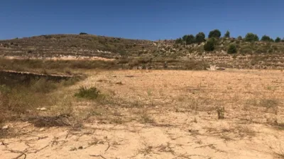 Rustic Finca in Jumilla photo 8