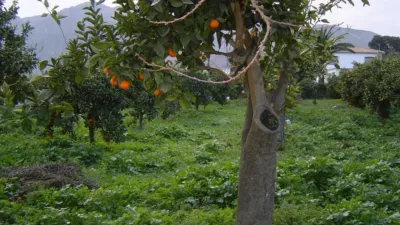 Finca rústica en venta en Carratraca, Carratraca de 300.000 €