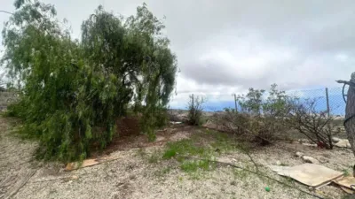 Rustic finca in Guía de Isora photo 14