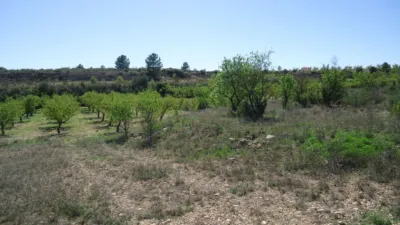 Rustic Farm in Raspay photo 2