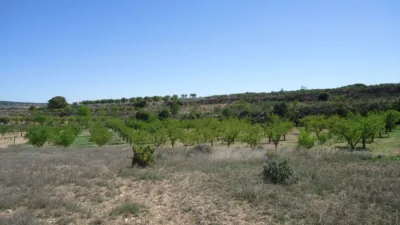 Rustic Farm in Raspay photo 3