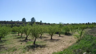 Rustic Farm in Raspay photo 4