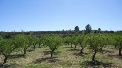 Rustic Farm in Raspay photo 5