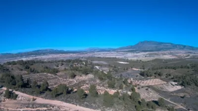 Rustic Finca in Jumilla photo 2