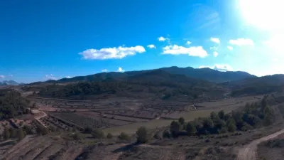 Rustic Finca in Jumilla photo 4
